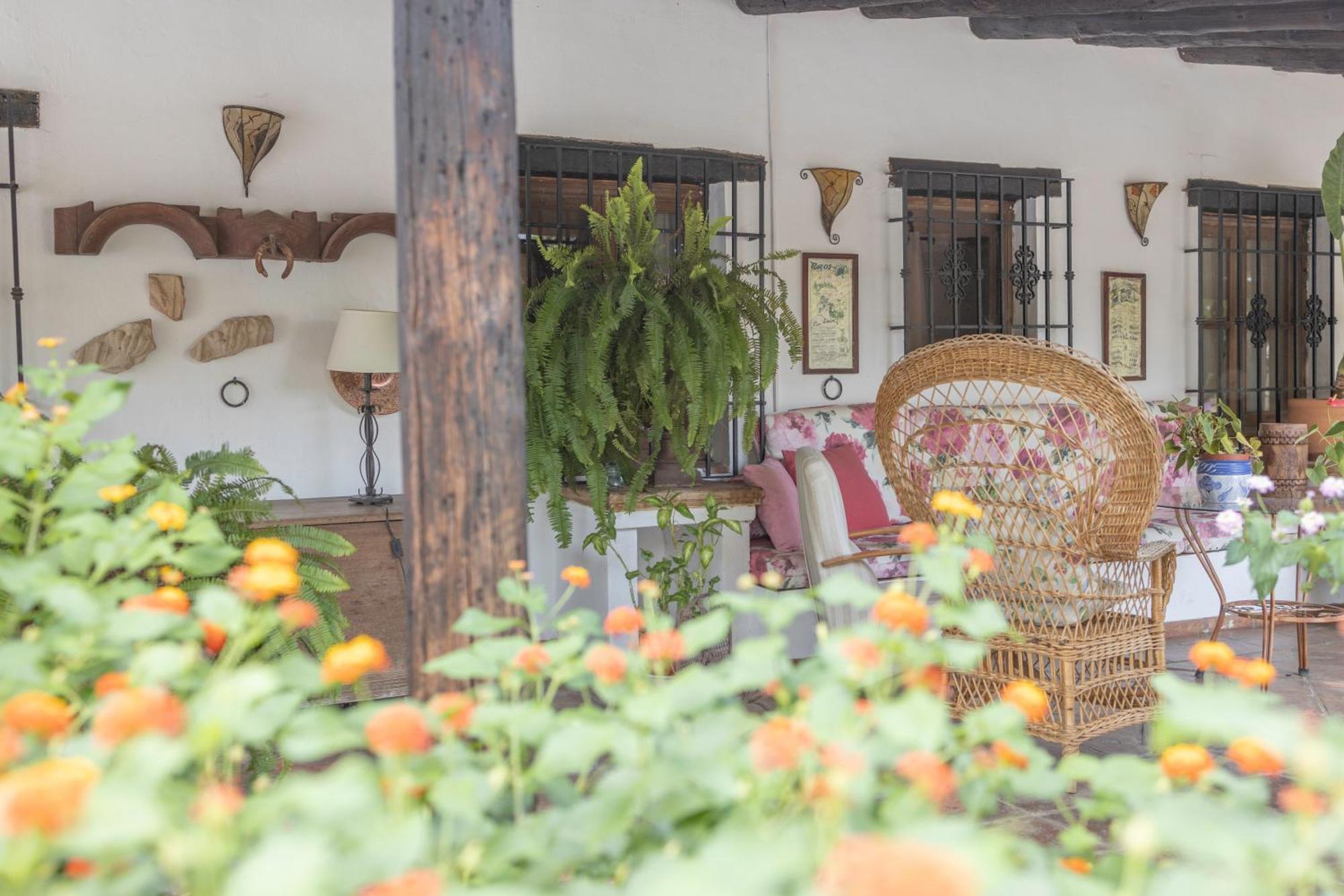 La Cuadra, Finca A Los Pies De Sierra Nevada, A 10 Minutos Del Centro, Piscina, Jardin, Barbacoa ลาซูเบีย ภายนอก รูปภาพ
