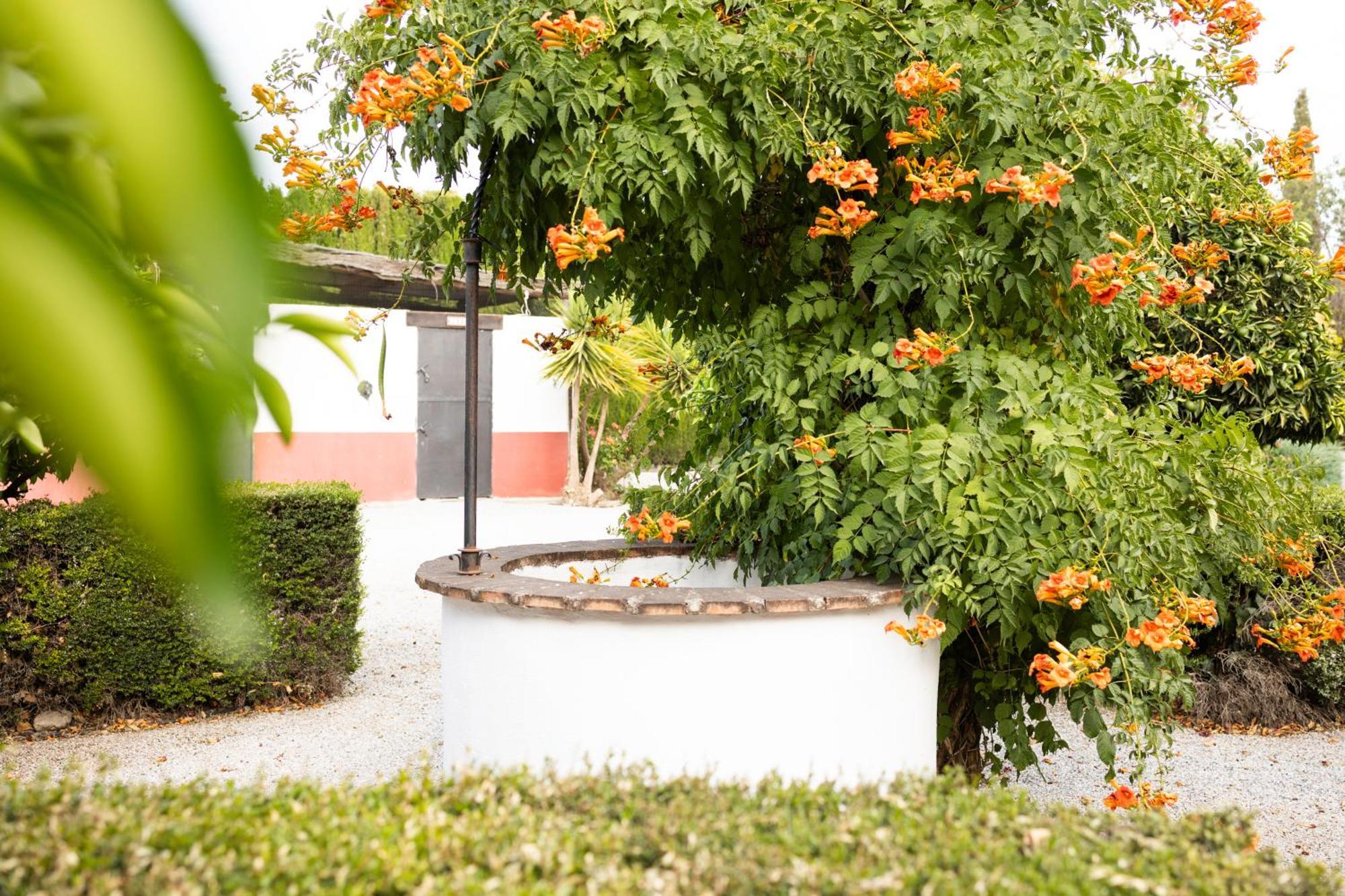 La Cuadra, Finca A Los Pies De Sierra Nevada, A 10 Minutos Del Centro, Piscina, Jardin, Barbacoa ลาซูเบีย ภายนอก รูปภาพ