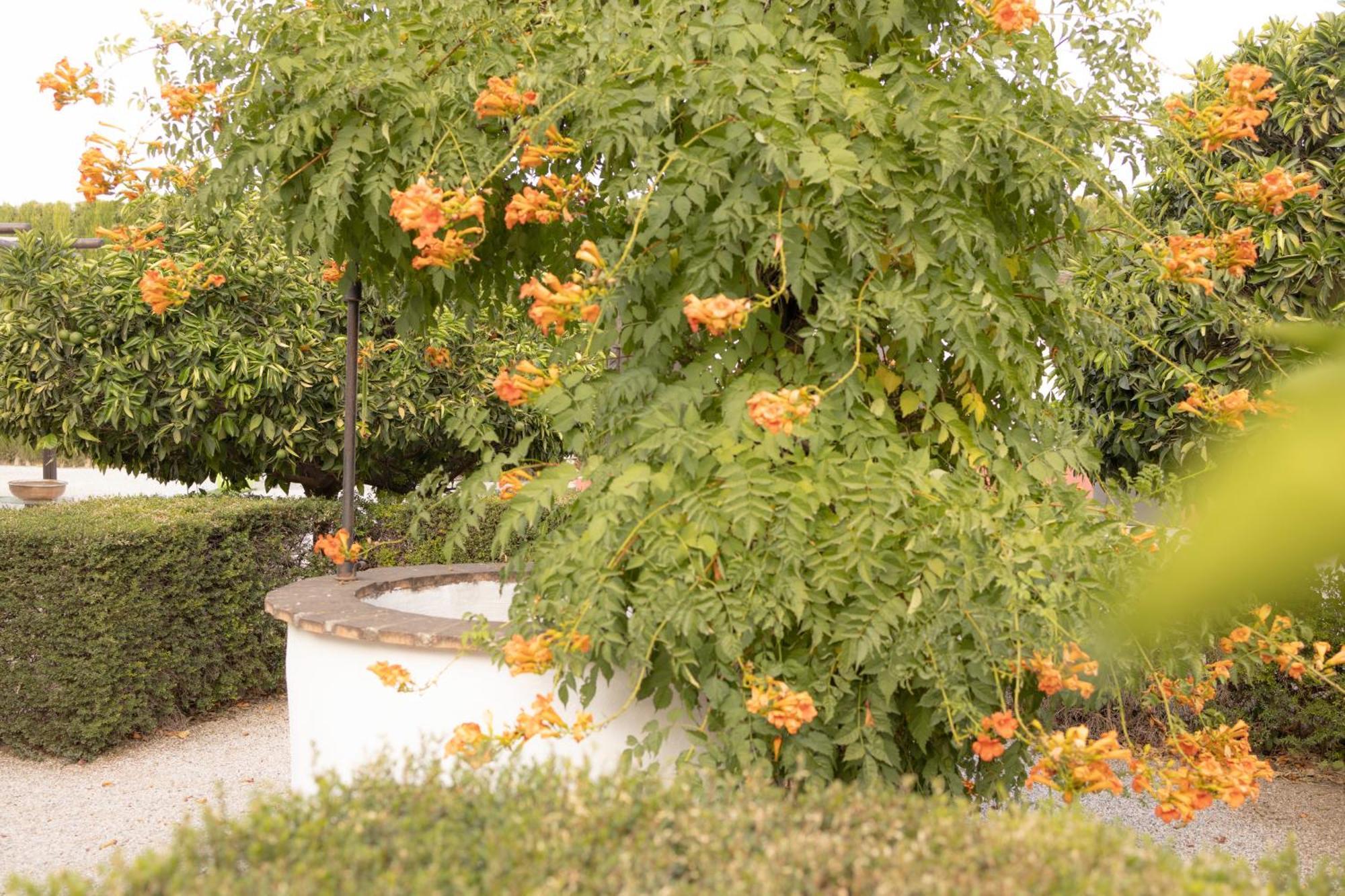 La Cuadra, Finca A Los Pies De Sierra Nevada, A 10 Minutos Del Centro, Piscina, Jardin, Barbacoa ลาซูเบีย ภายนอก รูปภาพ
