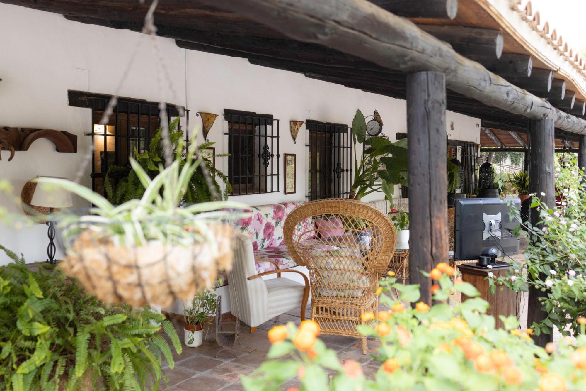 La Cuadra, Finca A Los Pies De Sierra Nevada, A 10 Minutos Del Centro, Piscina, Jardin, Barbacoa ลาซูเบีย ภายนอก รูปภาพ