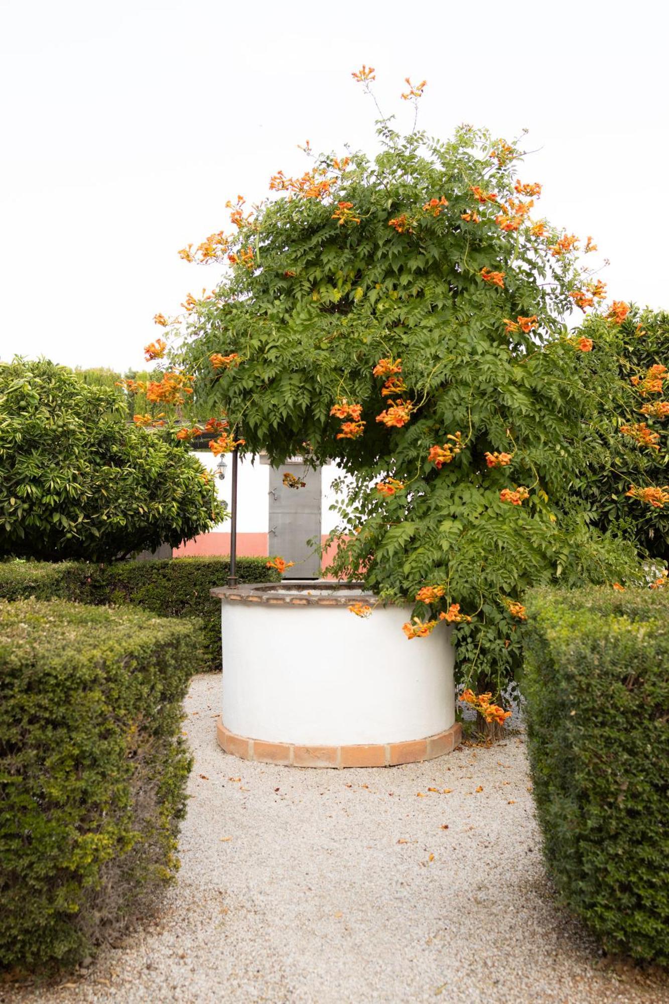 La Cuadra, Finca A Los Pies De Sierra Nevada, A 10 Minutos Del Centro, Piscina, Jardin, Barbacoa ลาซูเบีย ภายนอก รูปภาพ